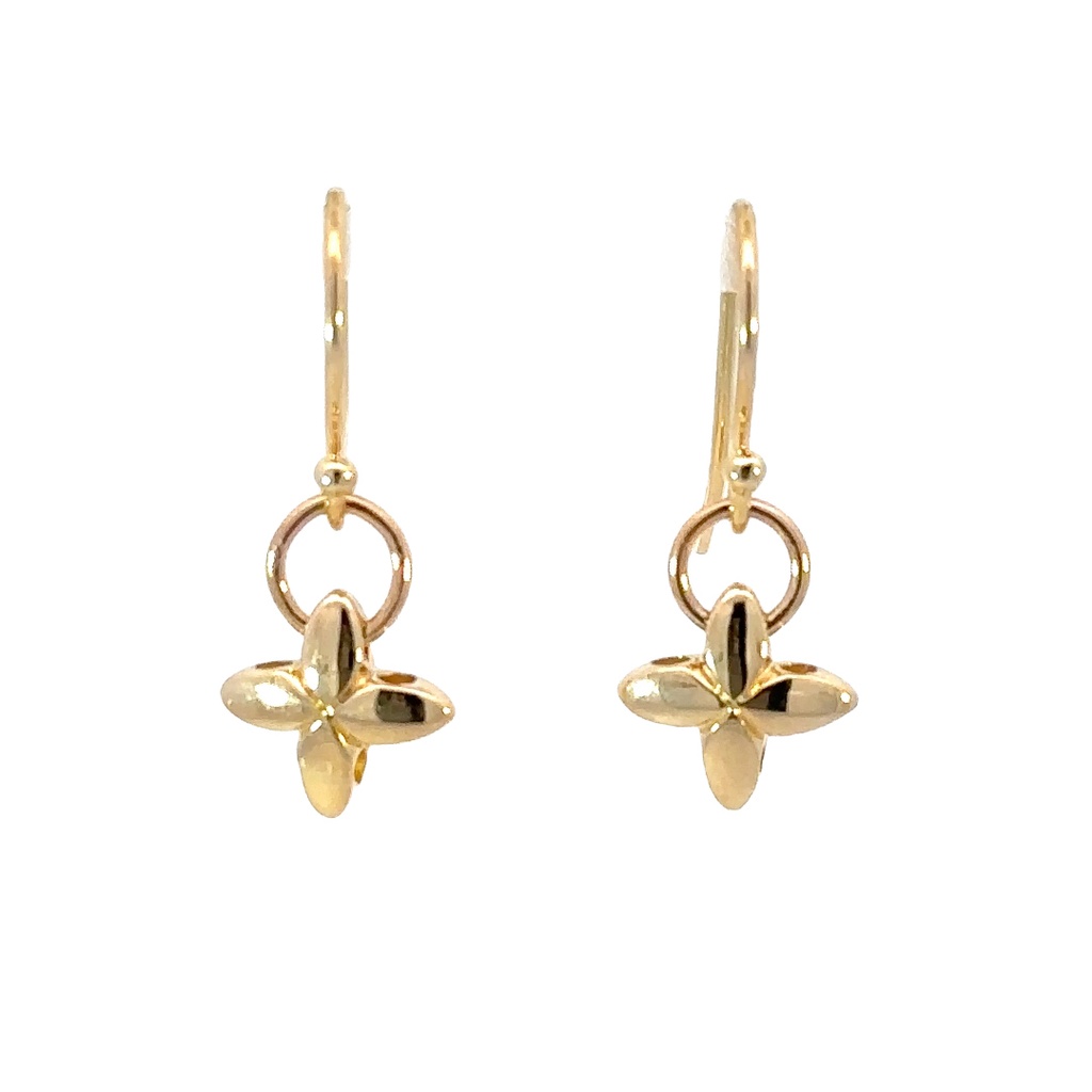 Hugs and Kisses 9k YG Earrings