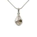 Sterling Silver Banded Tulip Shell Pendant
