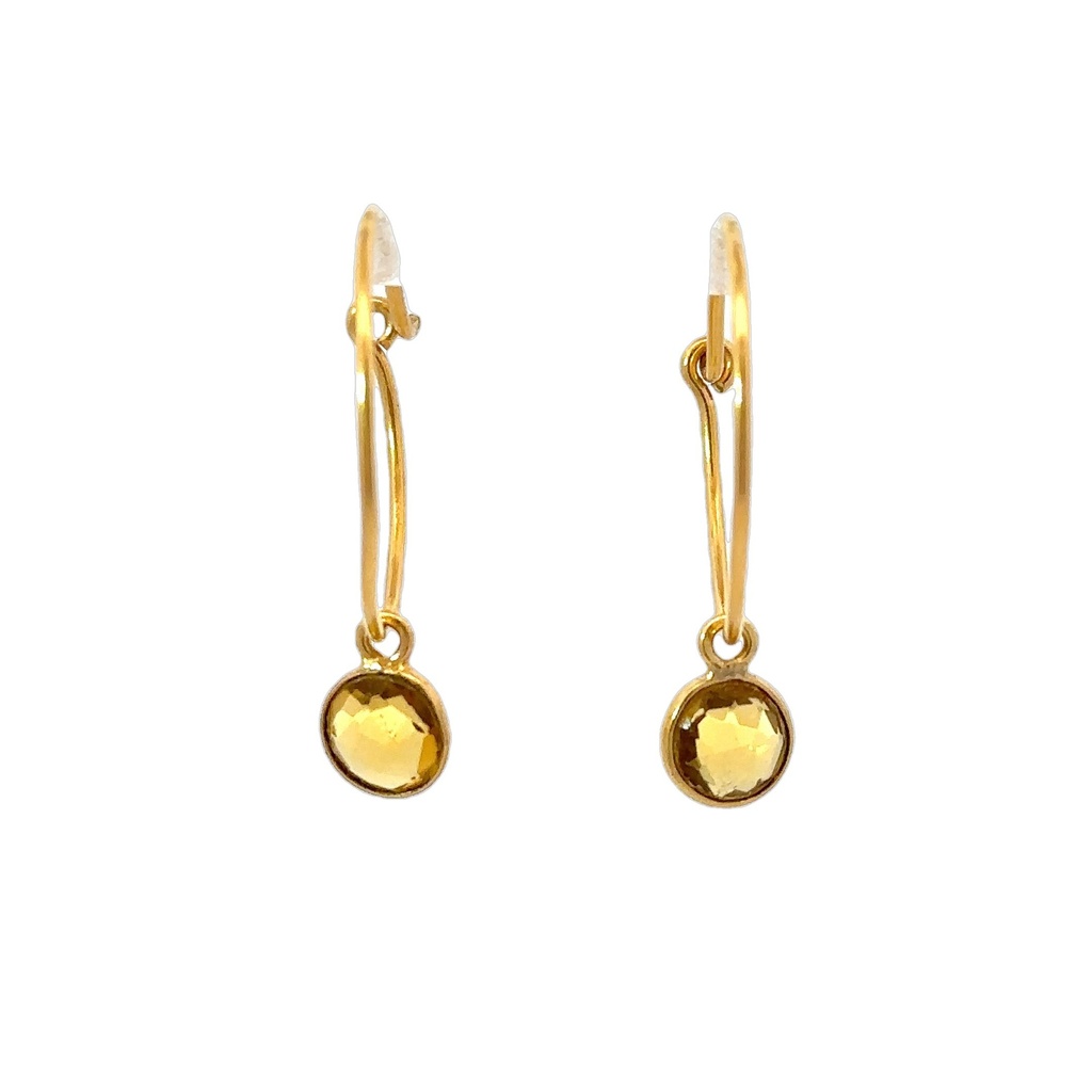Earrings | Hoops With a Touch of Sparkle