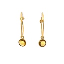 Earrings | Hoops With a Touch of Sparkle