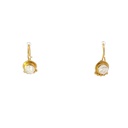 Dangling Earrings | Gold Plated Brass Moonstone Design