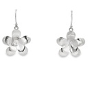 Earrings | Silver Frangipanies