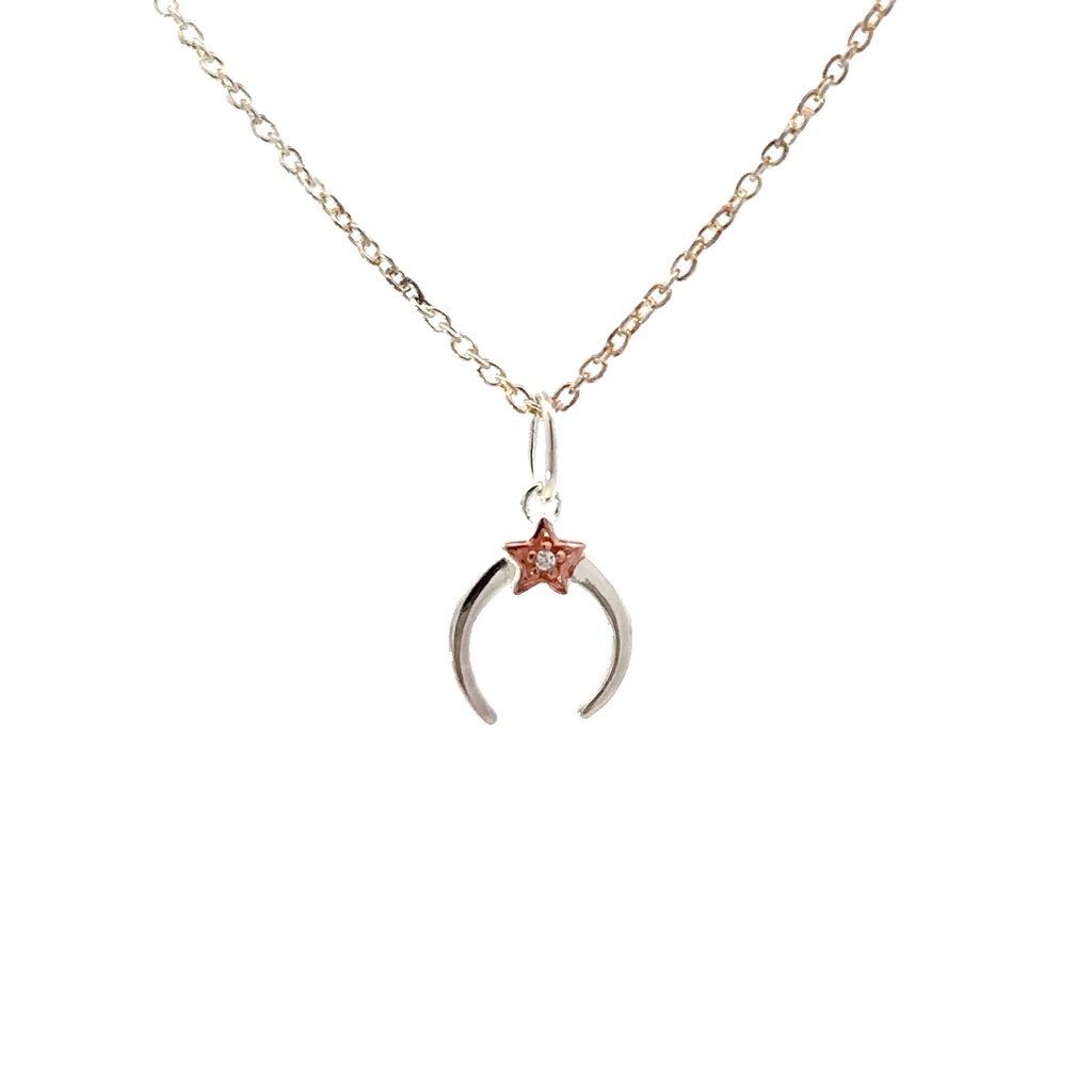 Petals Sterling Silver New Best Friend Moon Necklace
