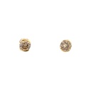 Champagne Diamond 18K Yellow Gold Earrings