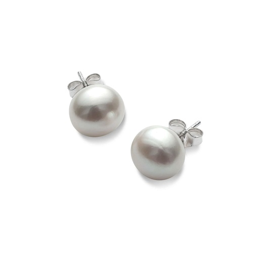 [23160JC9YEFWPSTUDSILVER] Freshwater Silver Pearl Stud Earrings In 9K Yellow Gold