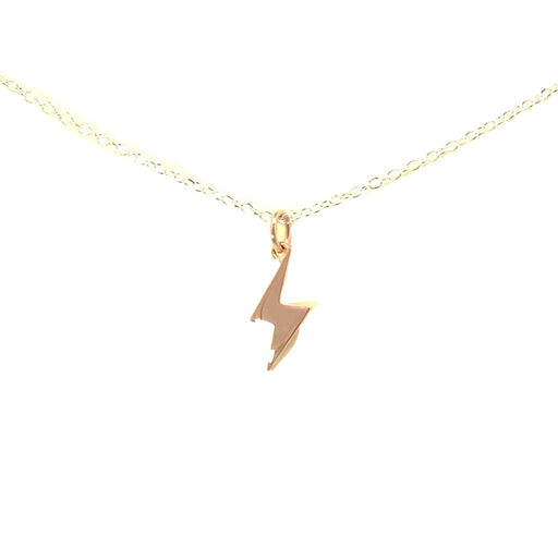 [21796SPETSNgoforward/24348] Petals Lightning Strike "Go forward.." Silver Necklace