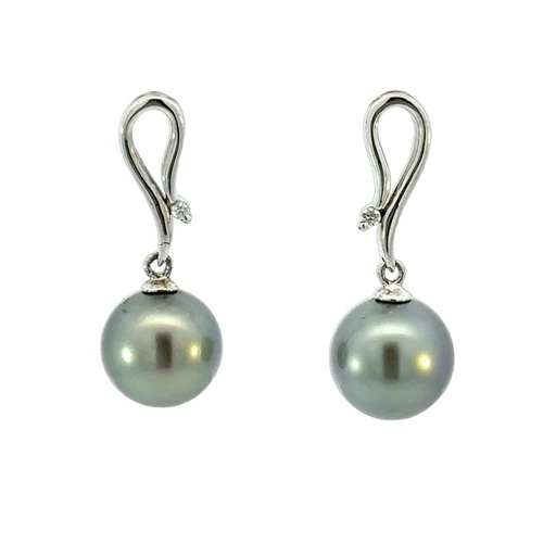 [29256] Tahitian Pearl Earrings With Snake Drop Set With CZ In Silver