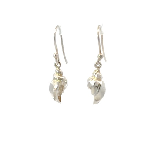 [22955] Conch Shell Earrings In Sterling Silver