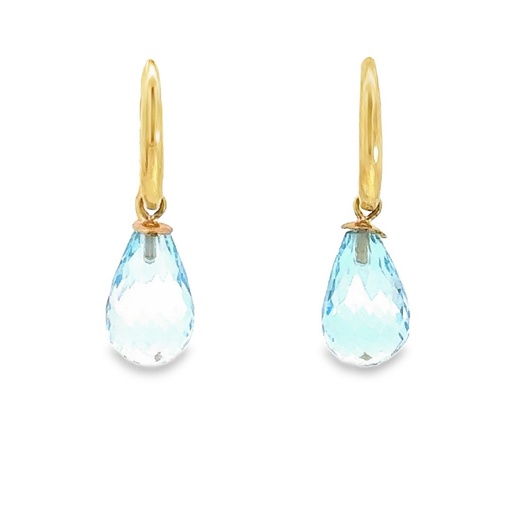 [000505] Blue Topaz Earrings | Yellow Gold 9k