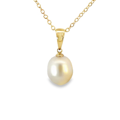 [001930] South Sea Pearl Pendant | 9ct Yellow Gold