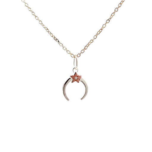 [001952] Petals Sterling Silver New Best Friend Moon Necklace