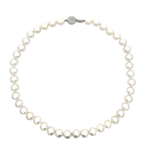 [001982] South Sea Pearl Necklace With 14K White Gold Circular BoxClasp